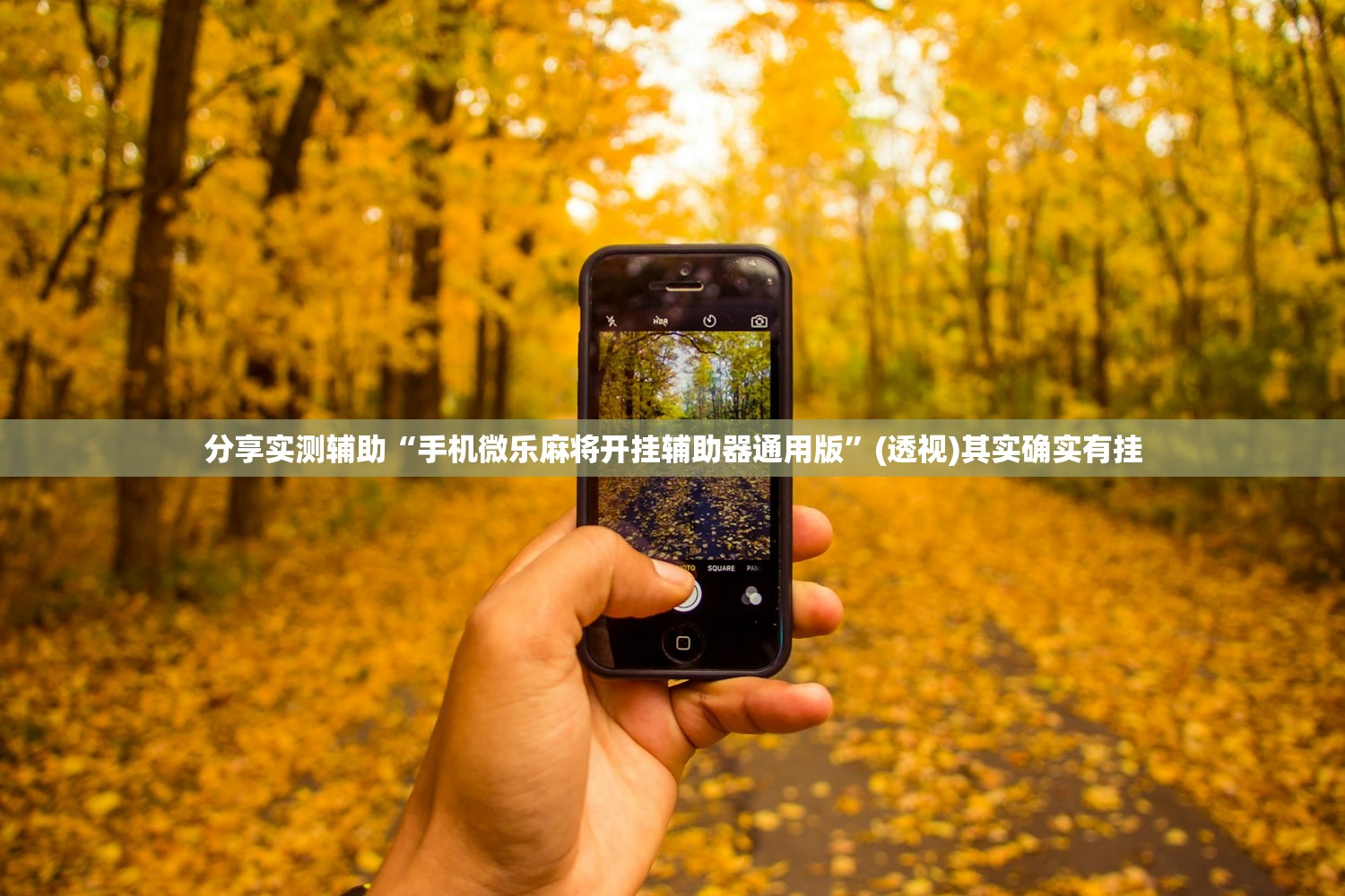 分享实测辅助“手机微乐麻将开挂辅助器通用版”(透视)其实确实有挂