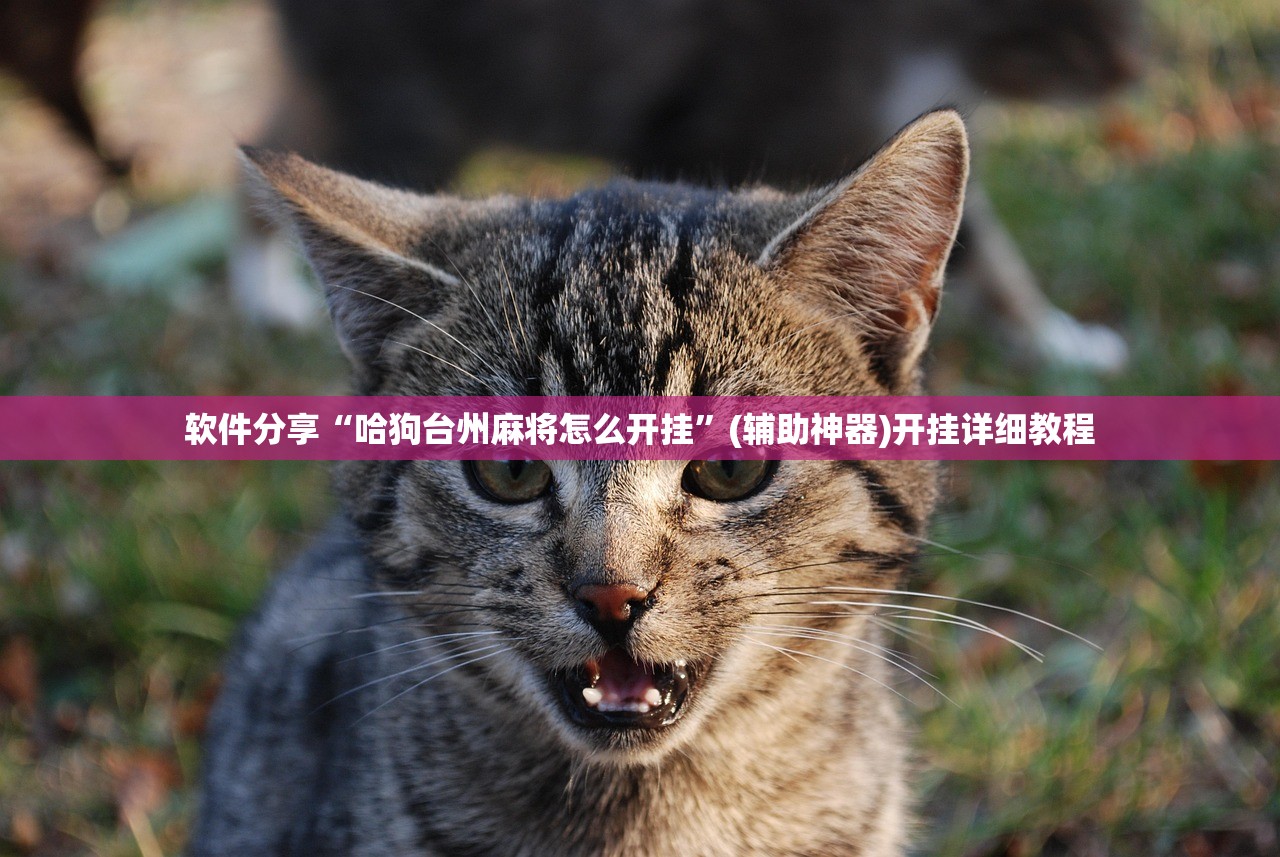 软件分享“哈狗台州麻将怎么开挂”(辅助神器)开挂详细教程