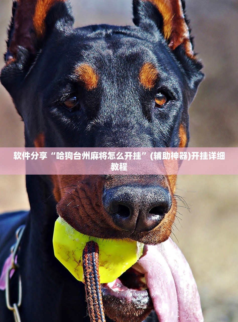 软件分享“哈狗台州麻将怎么开挂”(辅助神器)开挂详细教程