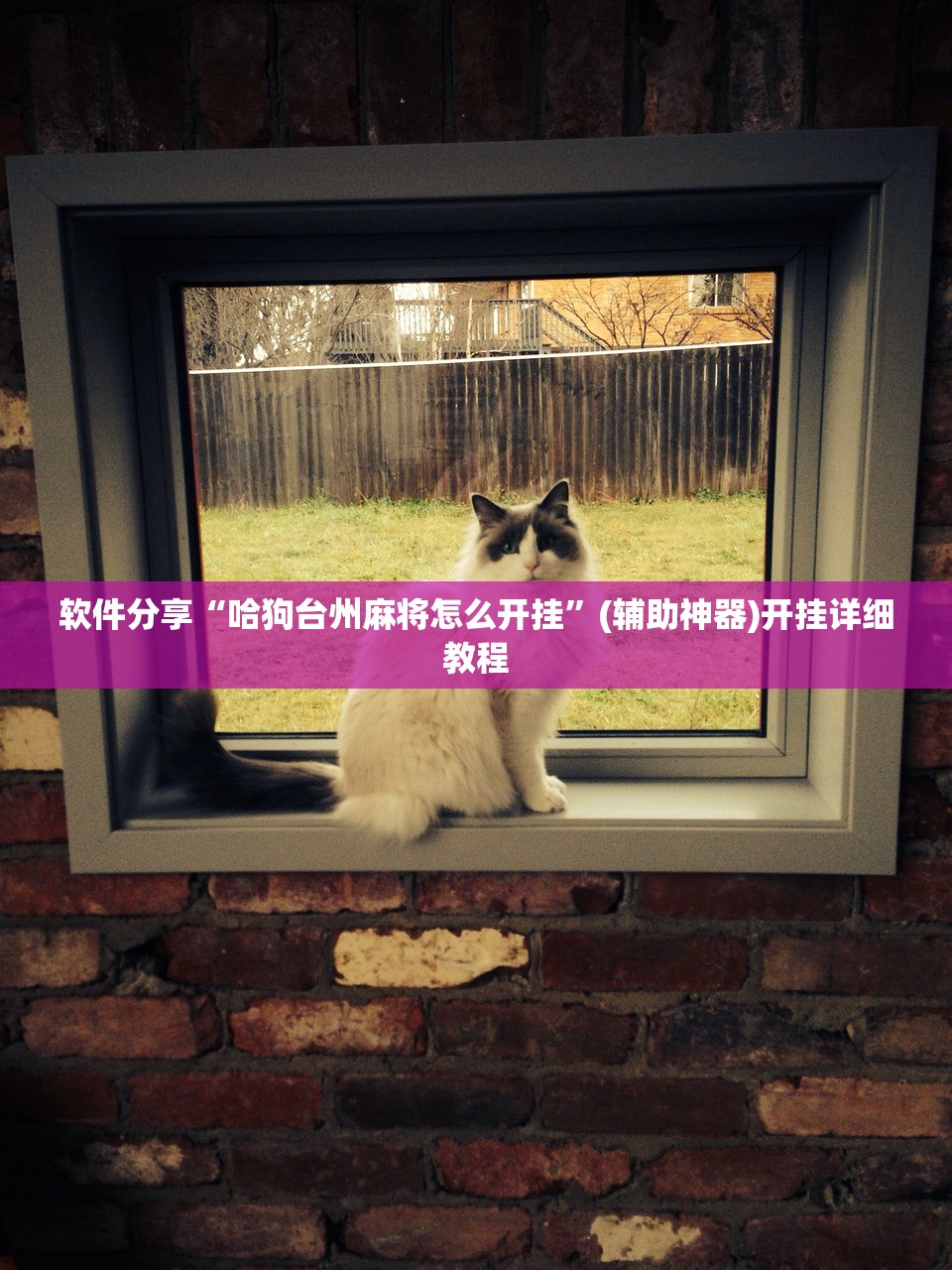 软件分享“哈狗台州麻将怎么开挂	”(辅助神器)开挂详细教程