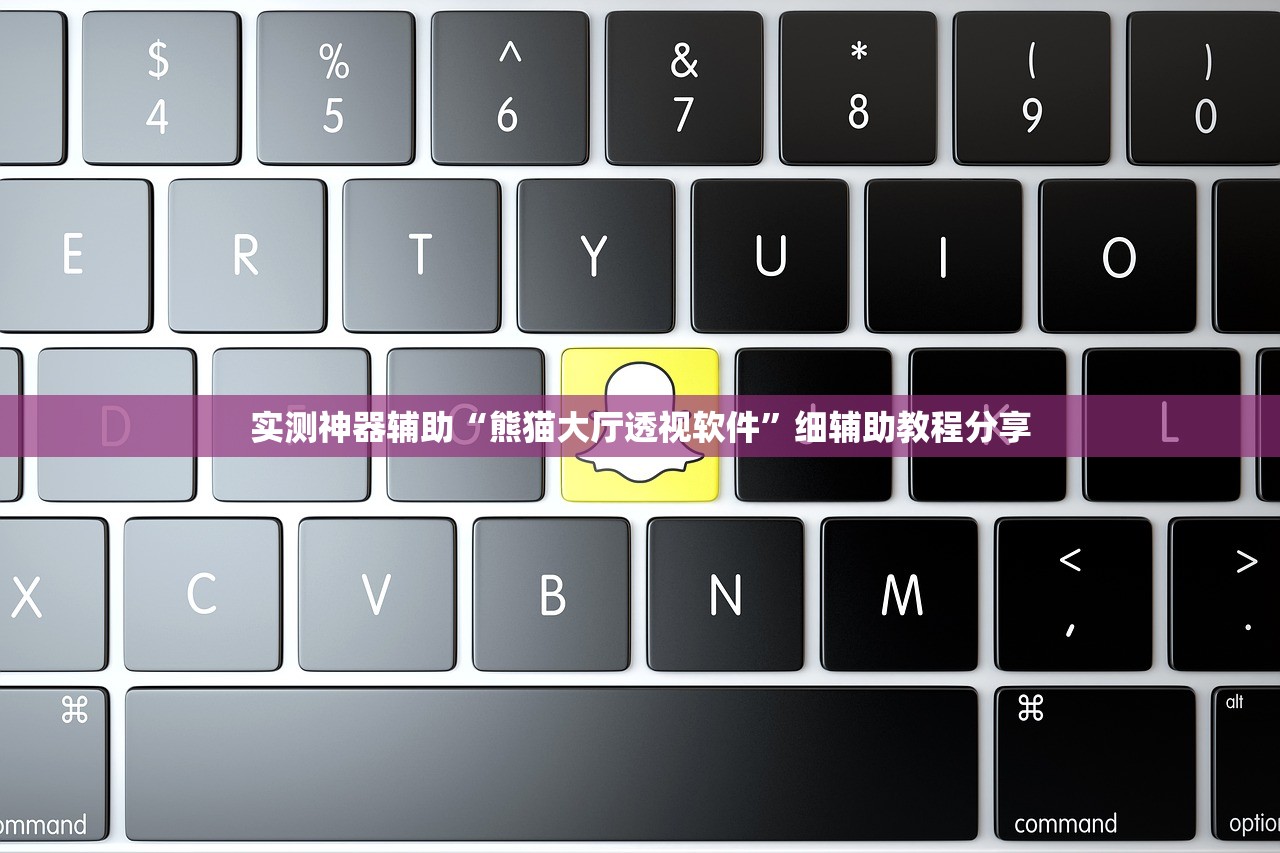 实测神器辅助“熊猫大厅透视软件	”细辅助教程分享