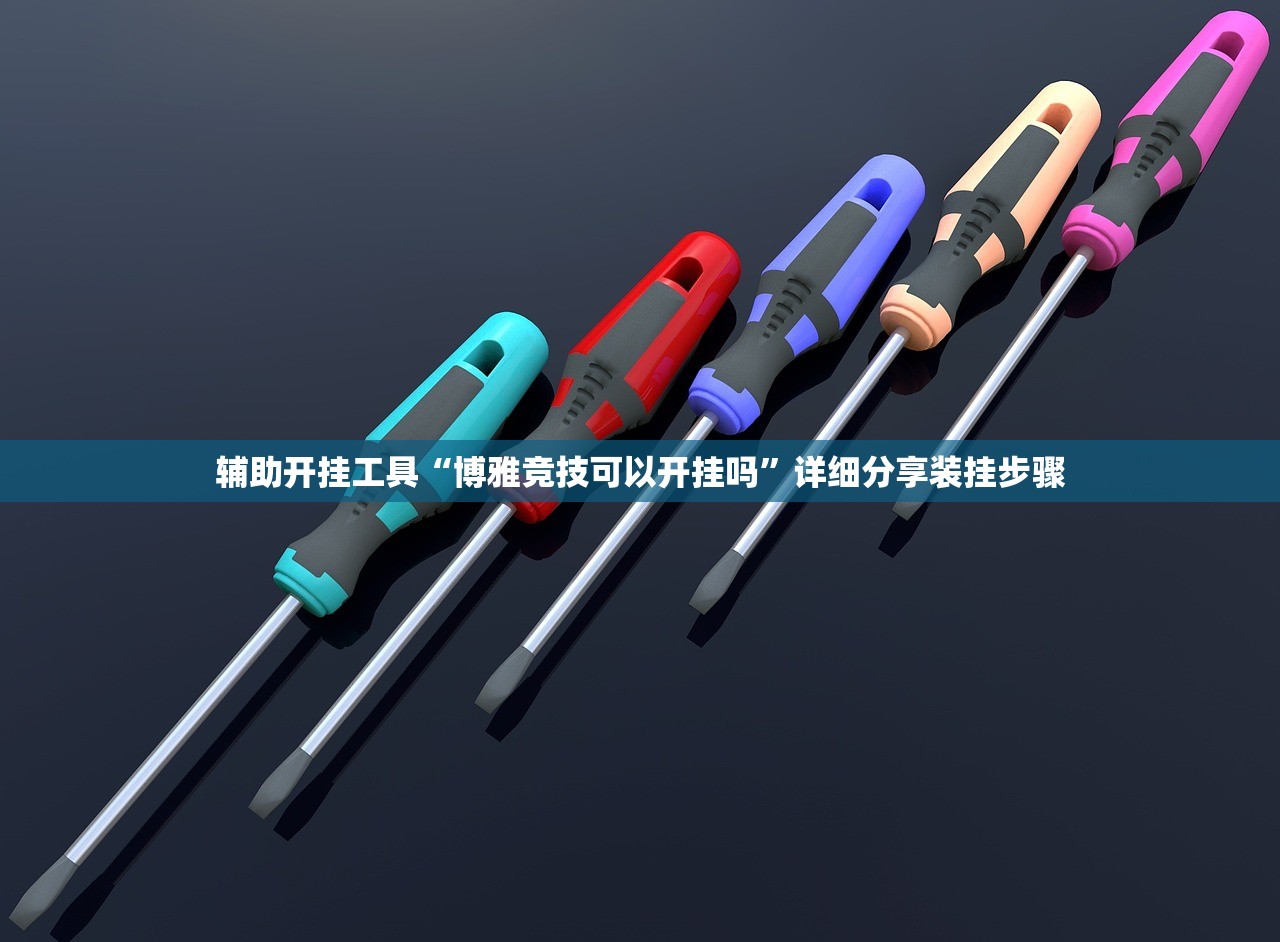 辅助开挂工具“博雅竞技可以开挂吗”详细分享装挂步骤