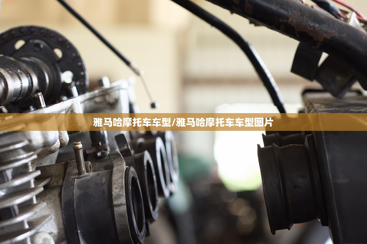 玩家必读“新518互游怎么开挂(透视)”开挂辅助脚本+详细开挂安装教程