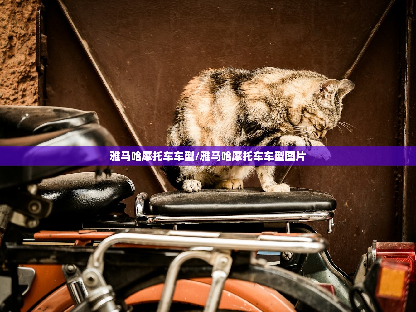 雅马哈摩托车车型/雅马哈摩托车车型图片 雅马哈摩托车车型/雅马哈摩托车车型图片