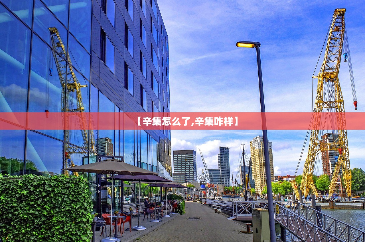 【辛集怎么了,辛集咋样】 【辛集怎么了,辛集咋样】
