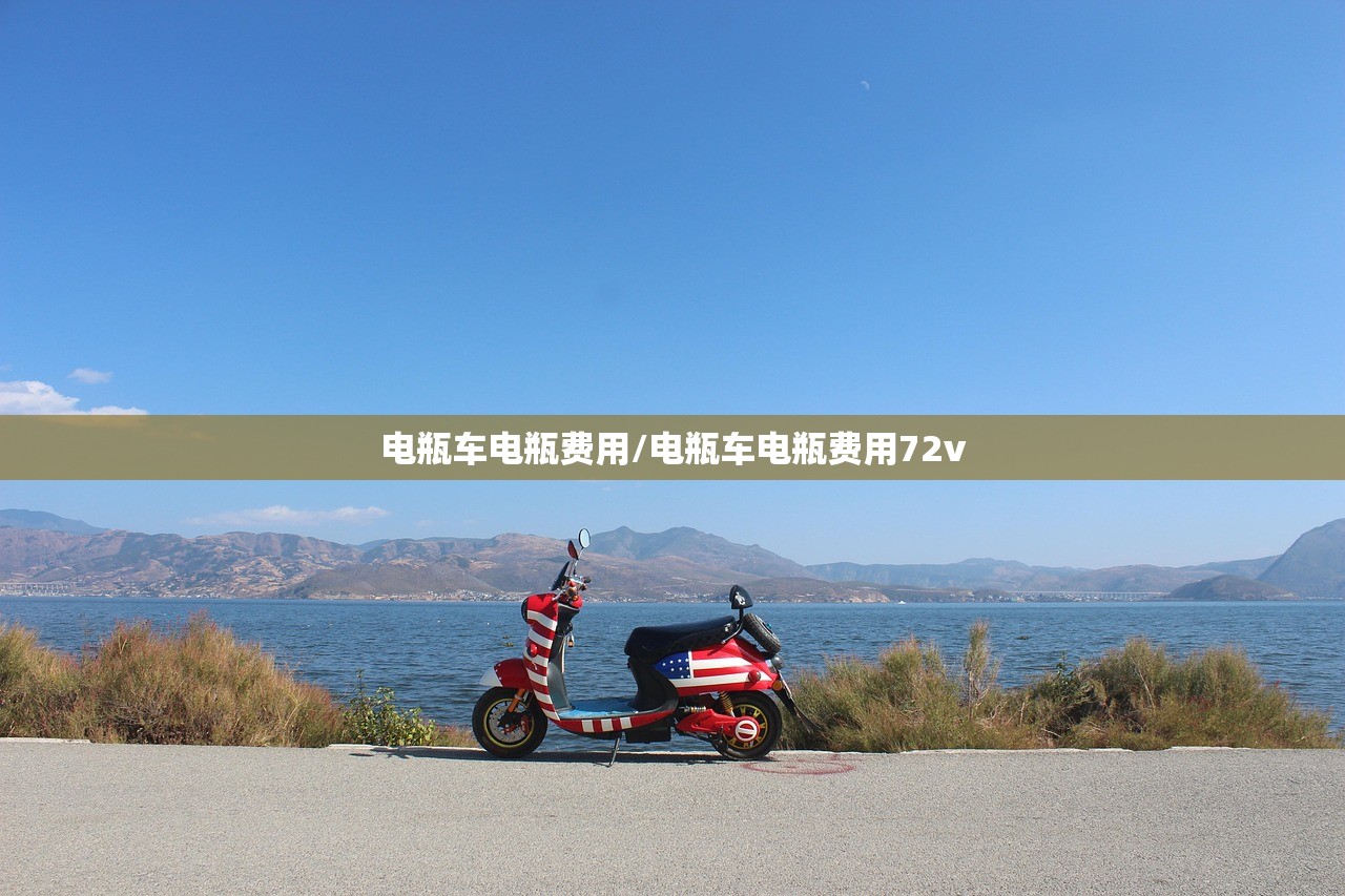 电瓶车电瓶费用/电瓶车电瓶费用72v