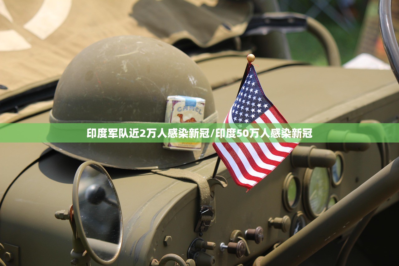 印度军队近2万人感染新冠/印度50万人感染新冠 印度军队近2万人感染新冠/印度50万人感染新冠