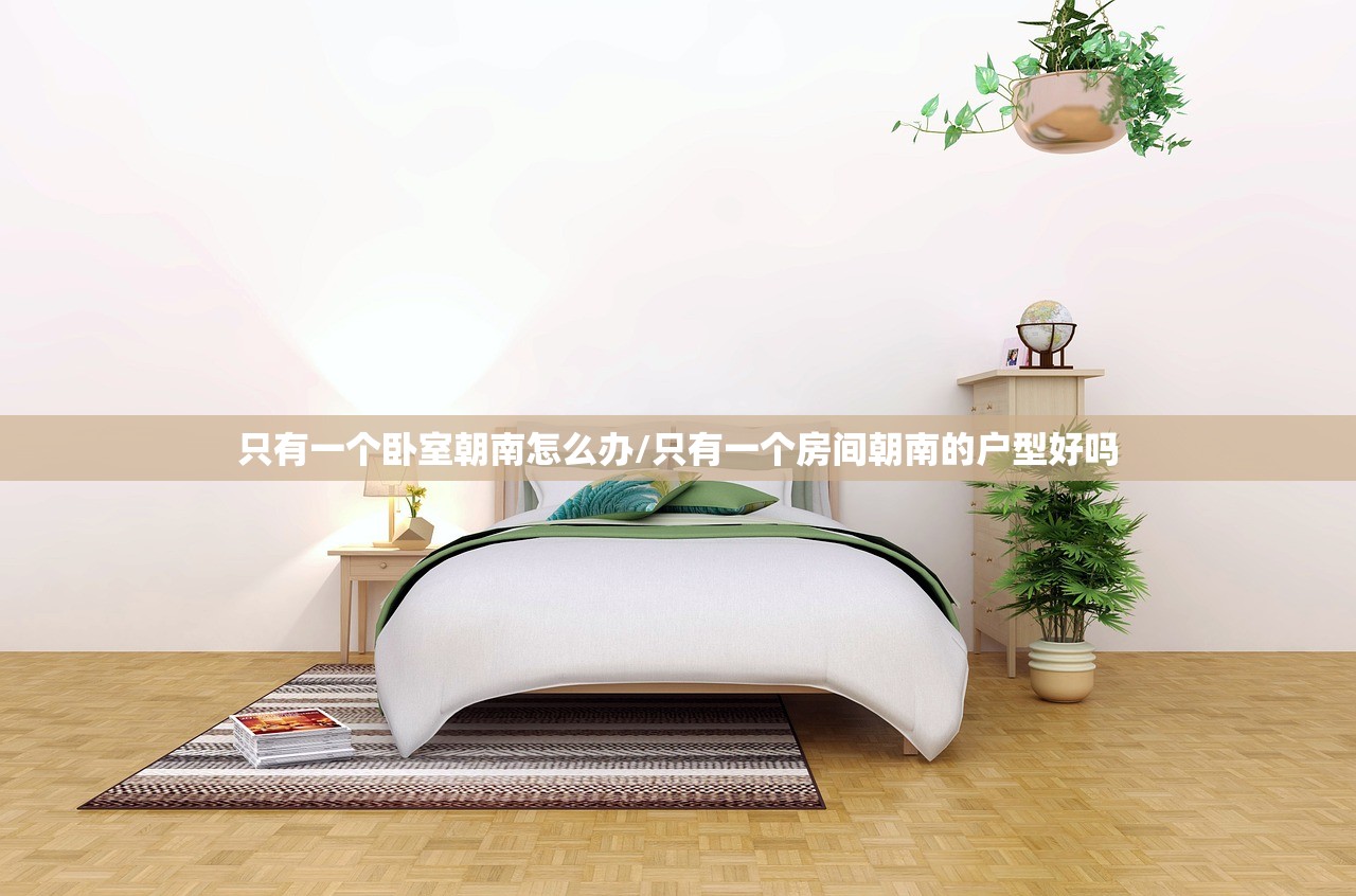 只有一个卧室朝南怎么办/只有一个房间朝南的户型好吗 只有一个卧室朝南怎么办/只有一个房间朝南的户型好吗