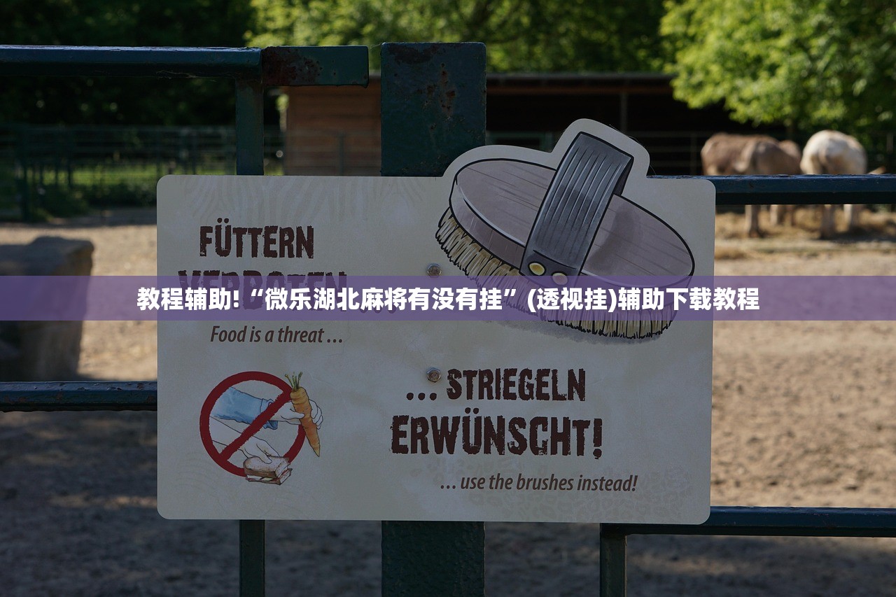 教程辅助!“微乐湖北麻将有没有挂”(透视挂)辅助下载教程