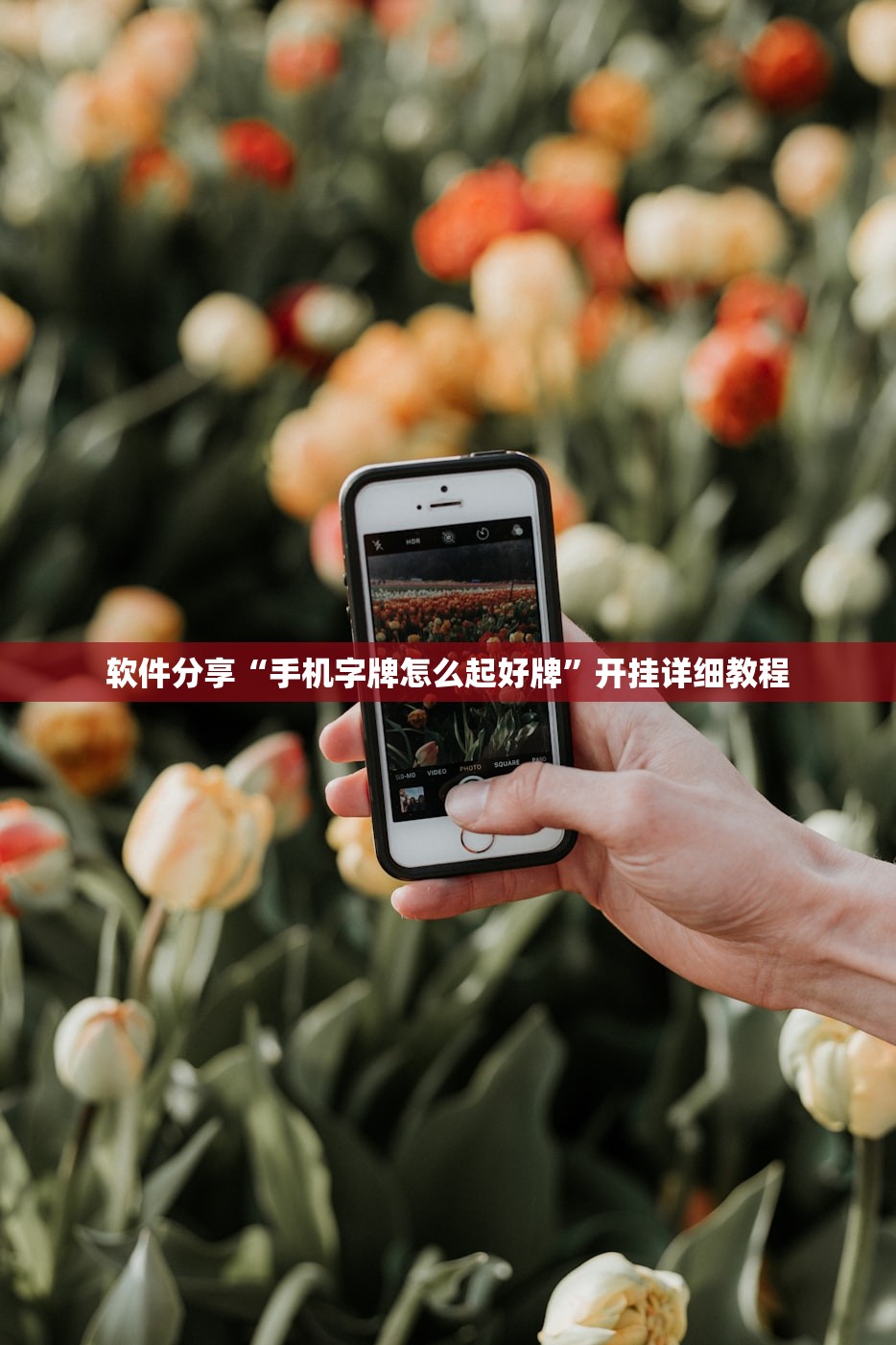 软件分享“手机字牌怎么起好牌”开挂详细教程