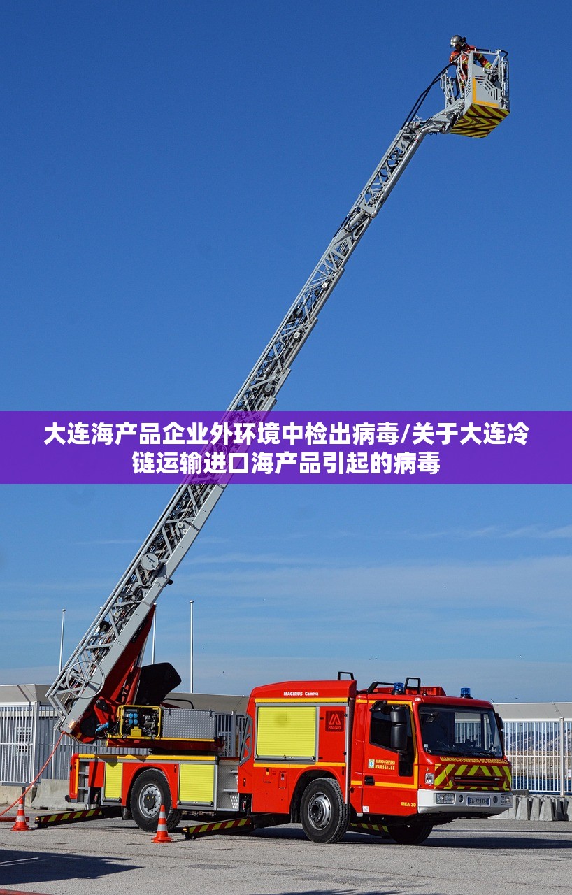 大连海产品企业外环境中检出病毒/关于大连冷链运输进口海产品引起的病毒