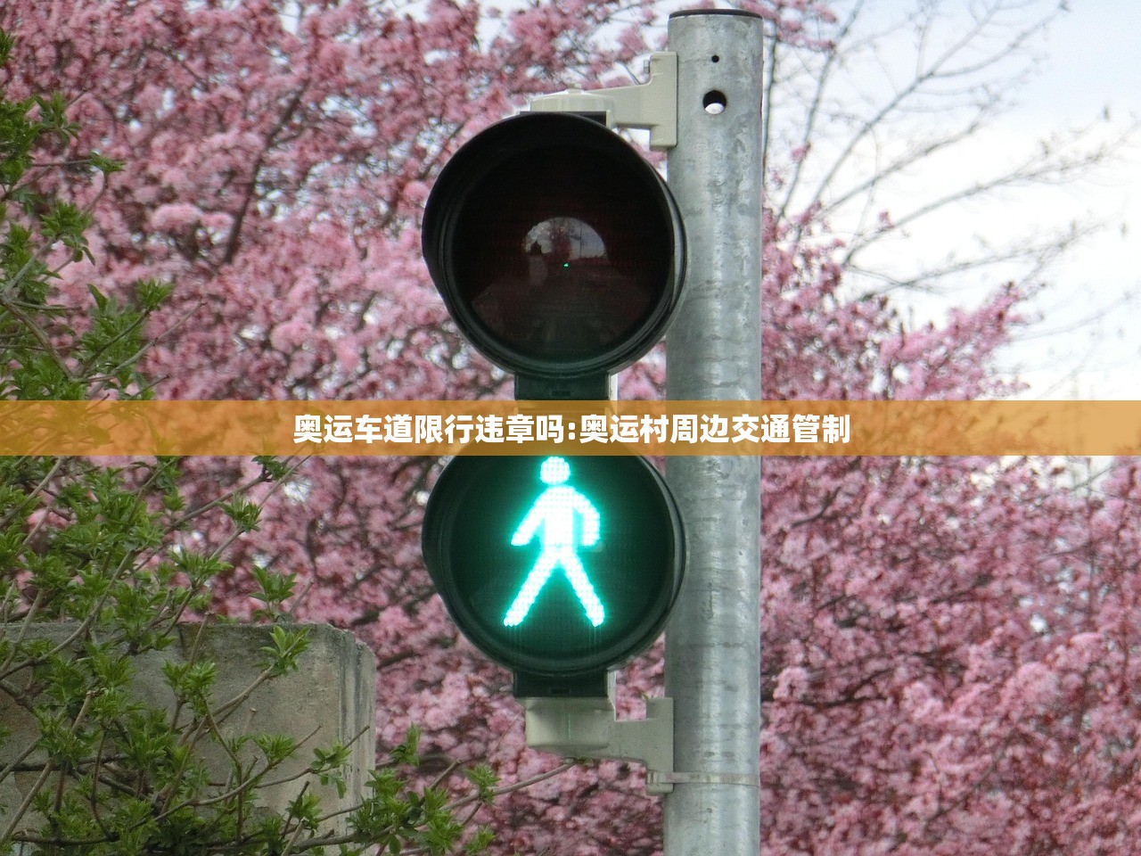 奥运车道限行违章吗:奥运村周边交通管制