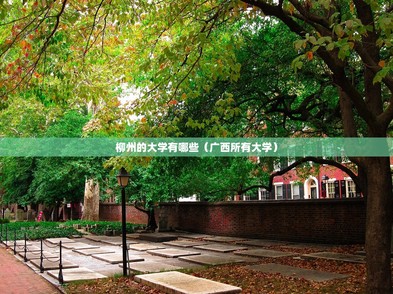 柳州的大学有哪些（广西所有大学）