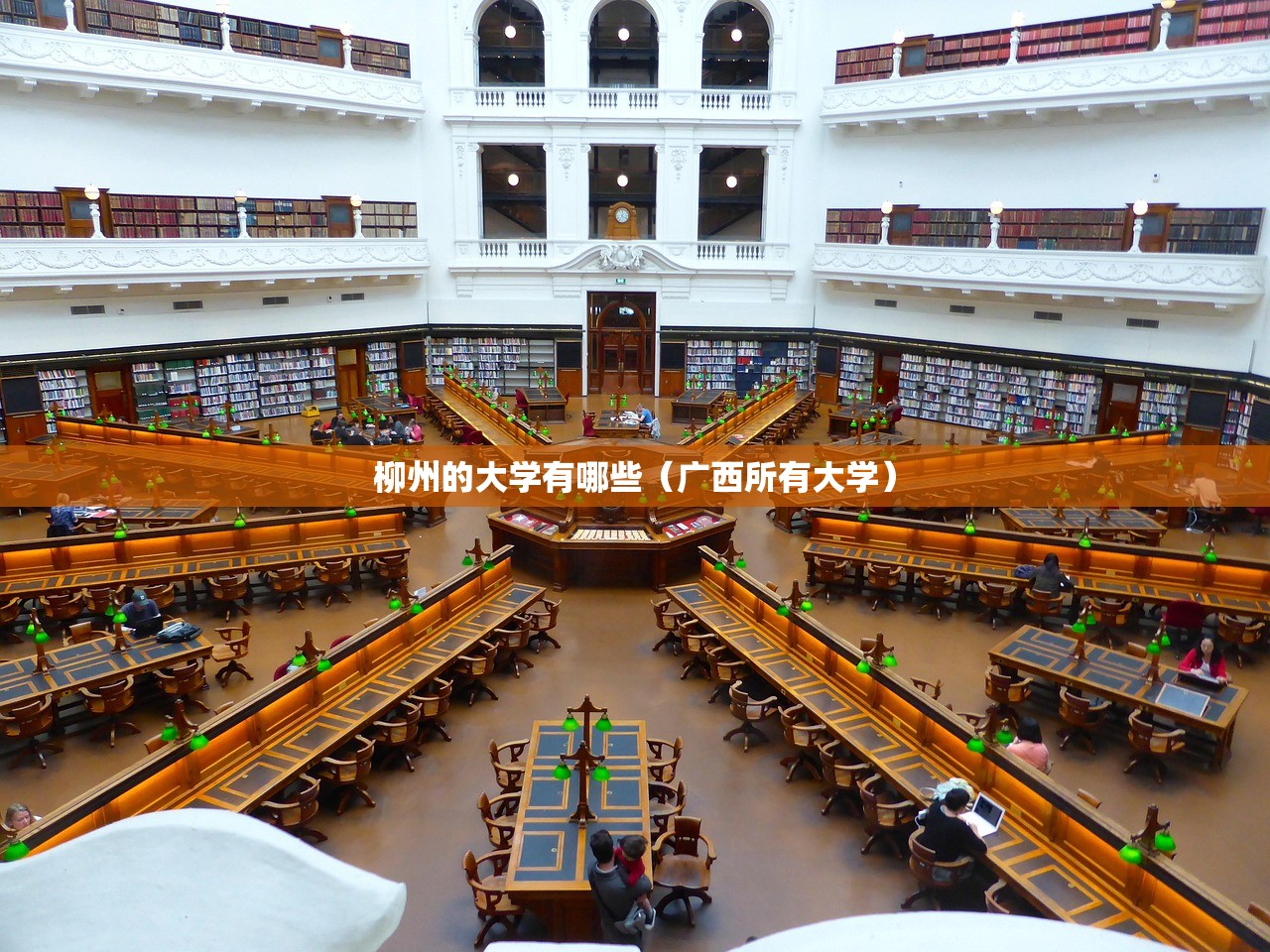 柳州的大学有哪些（广西所有大学）