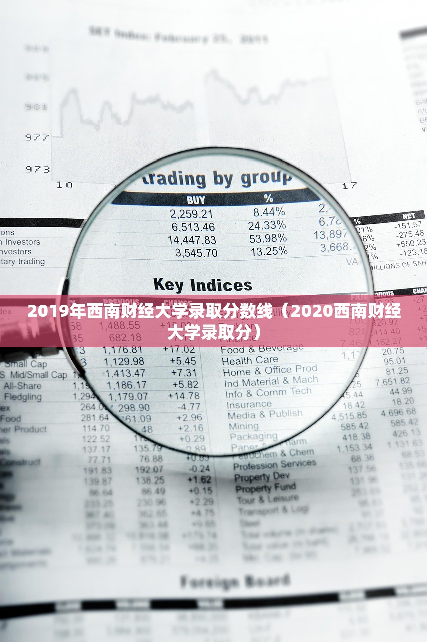 2019年西南财经大学录取分数线（2020西南财经大学录取分）