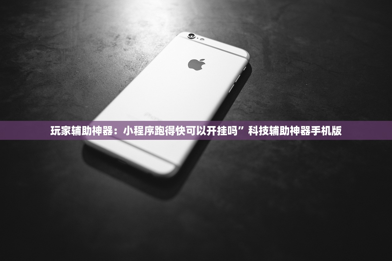 玩家辅助神器：小程序跑得快可以开挂吗”科技辅助神器手机版