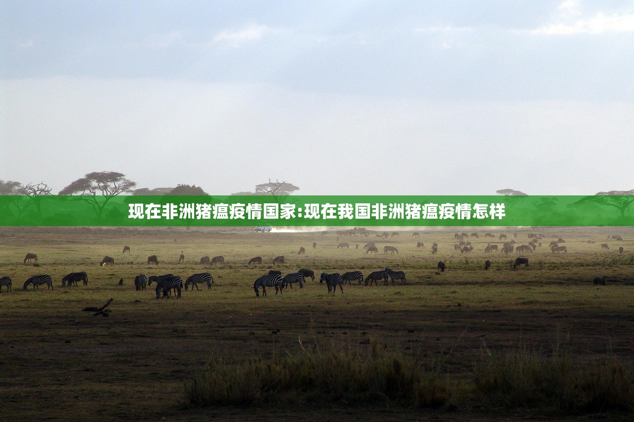 必备科技“微乐海南麻将开挂辅助器通用版”原来可以开挂