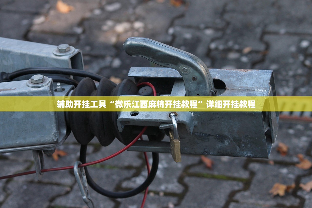 辅助开挂工具“微乐江西麻将开挂教程”详细开挂教程