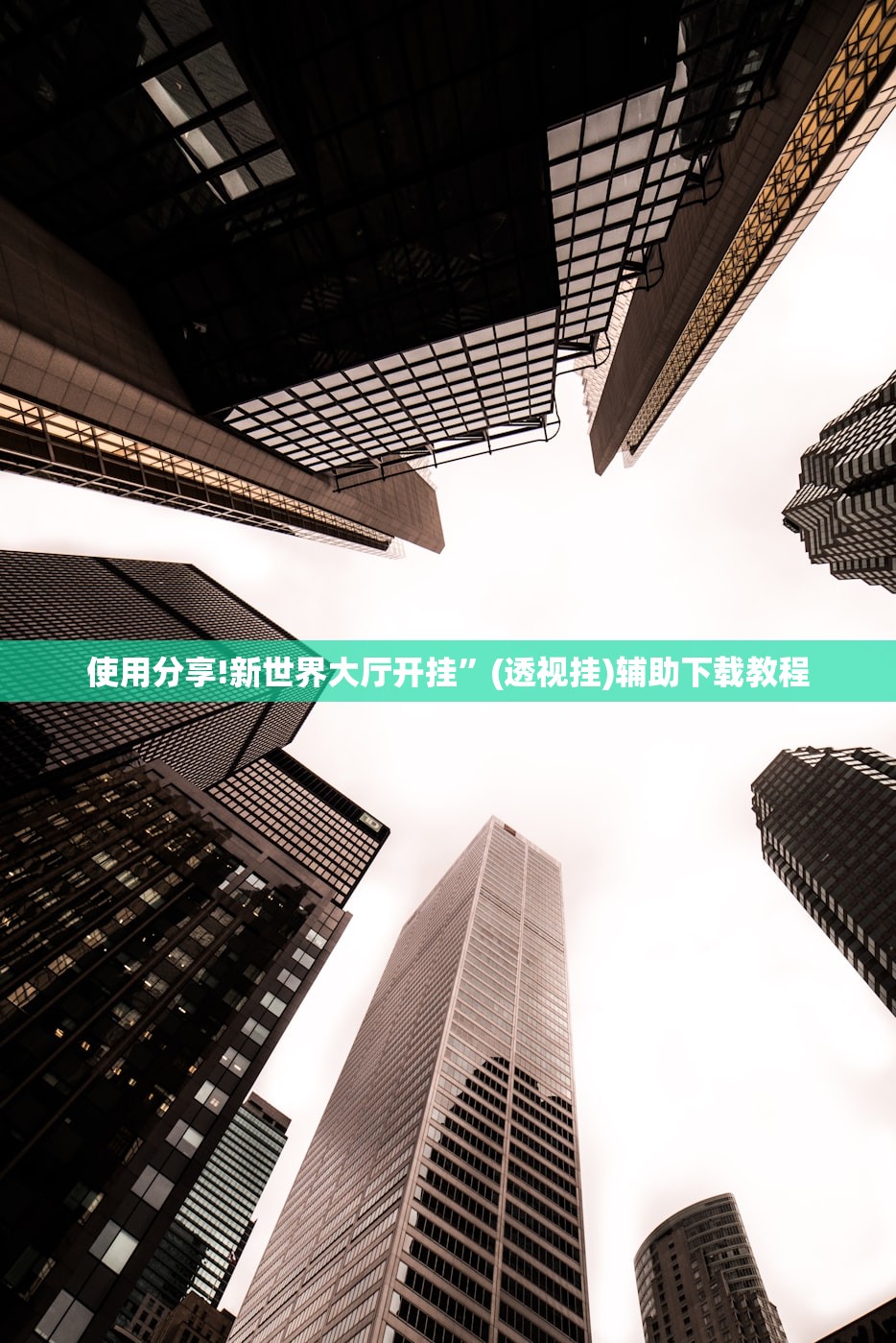 玩家必读“新道游开挂免费”详细分享装挂步骤