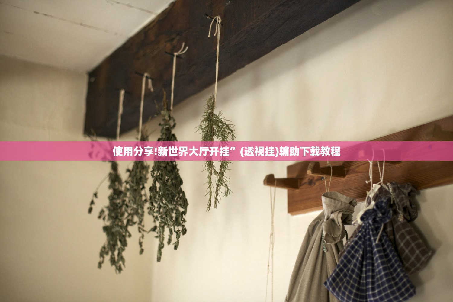 使用分享!新世界大厅开挂	”(透视挂)辅助下载教程