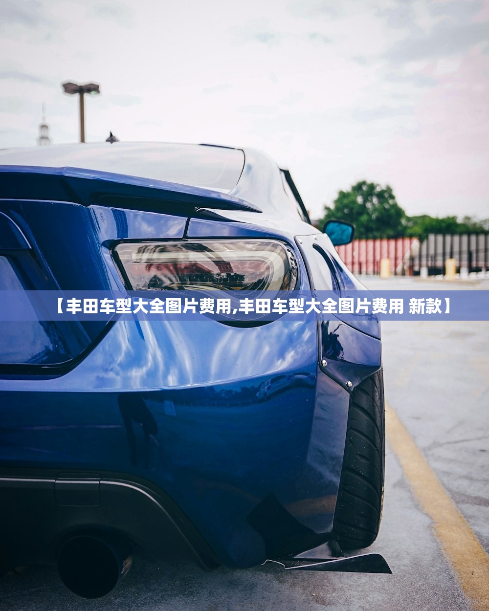 【丰田车型大全图片费用,丰田车型大全图片费用 新款】