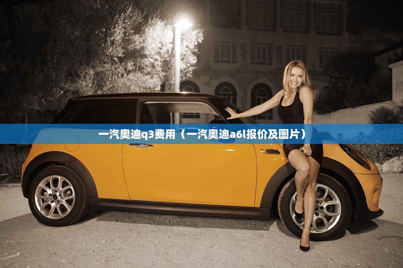 一汽奥迪q3费用（一汽奥迪a6l报价及图片）