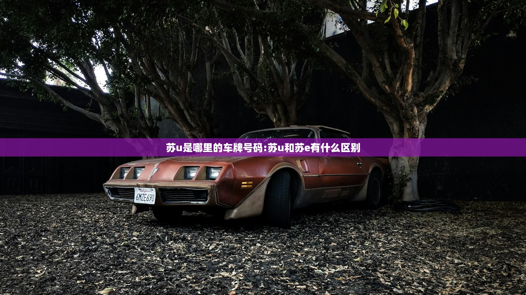 教程分享“越乡游义乌到底有没有挂”细辅助教程分享
