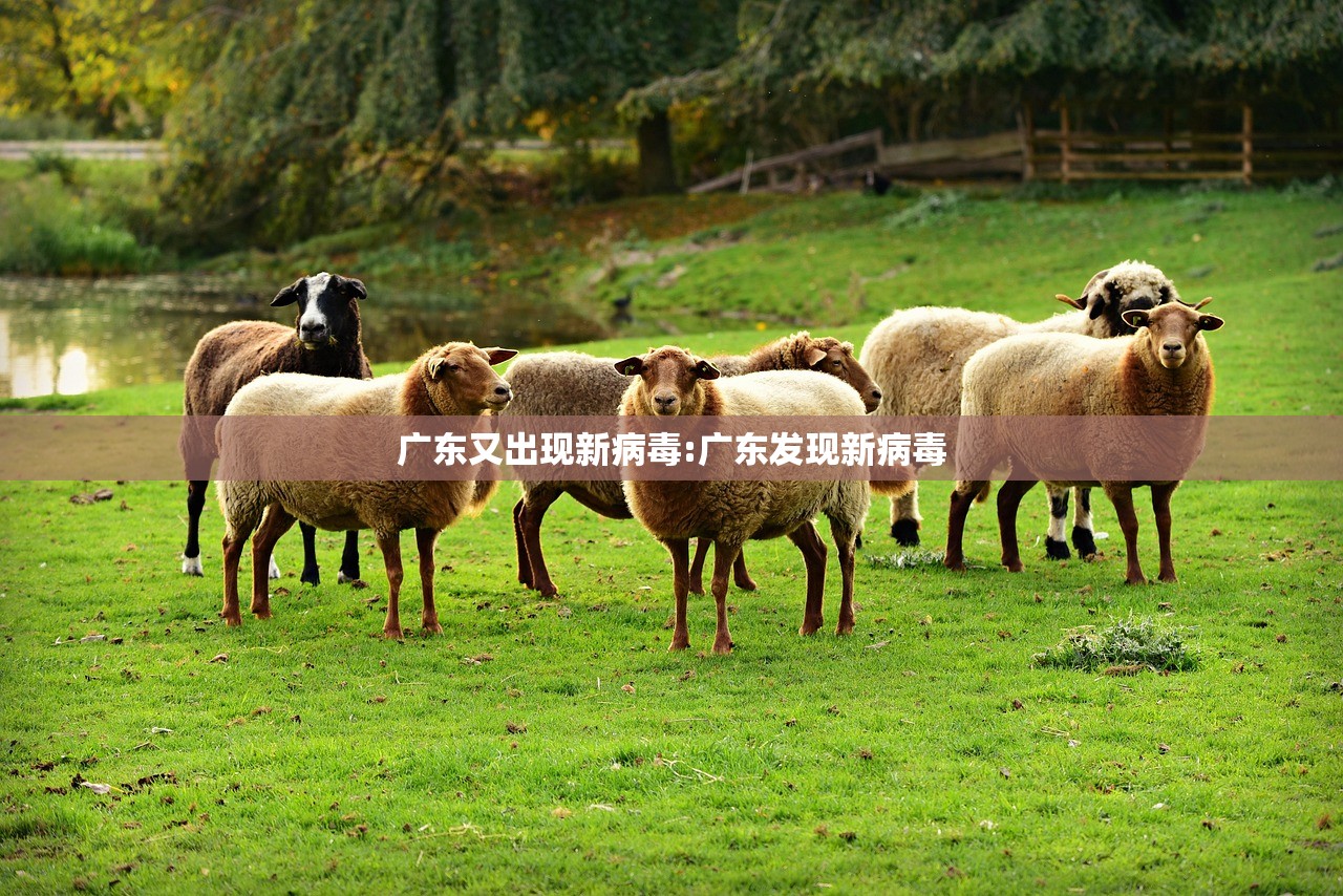 广东又出现新病毒:广东发现新病毒
