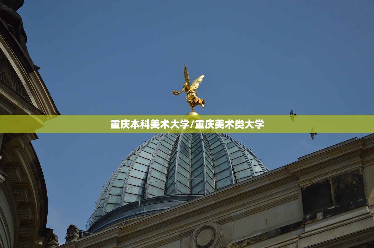 重庆本科美术大学/重庆美术类大学