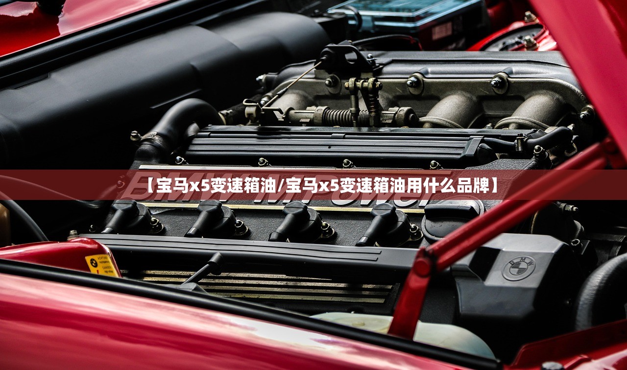 【宝马x5变速箱油/宝马x5变速箱油用什么品牌】