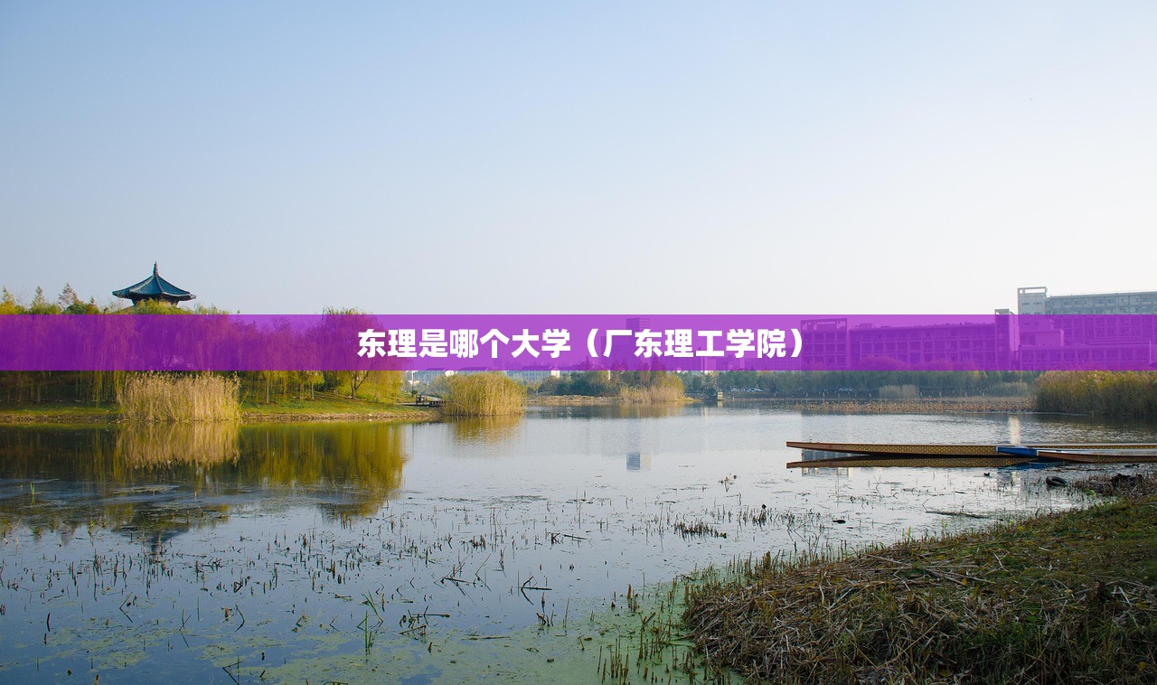 东理是哪个大学（厂东理工学院）