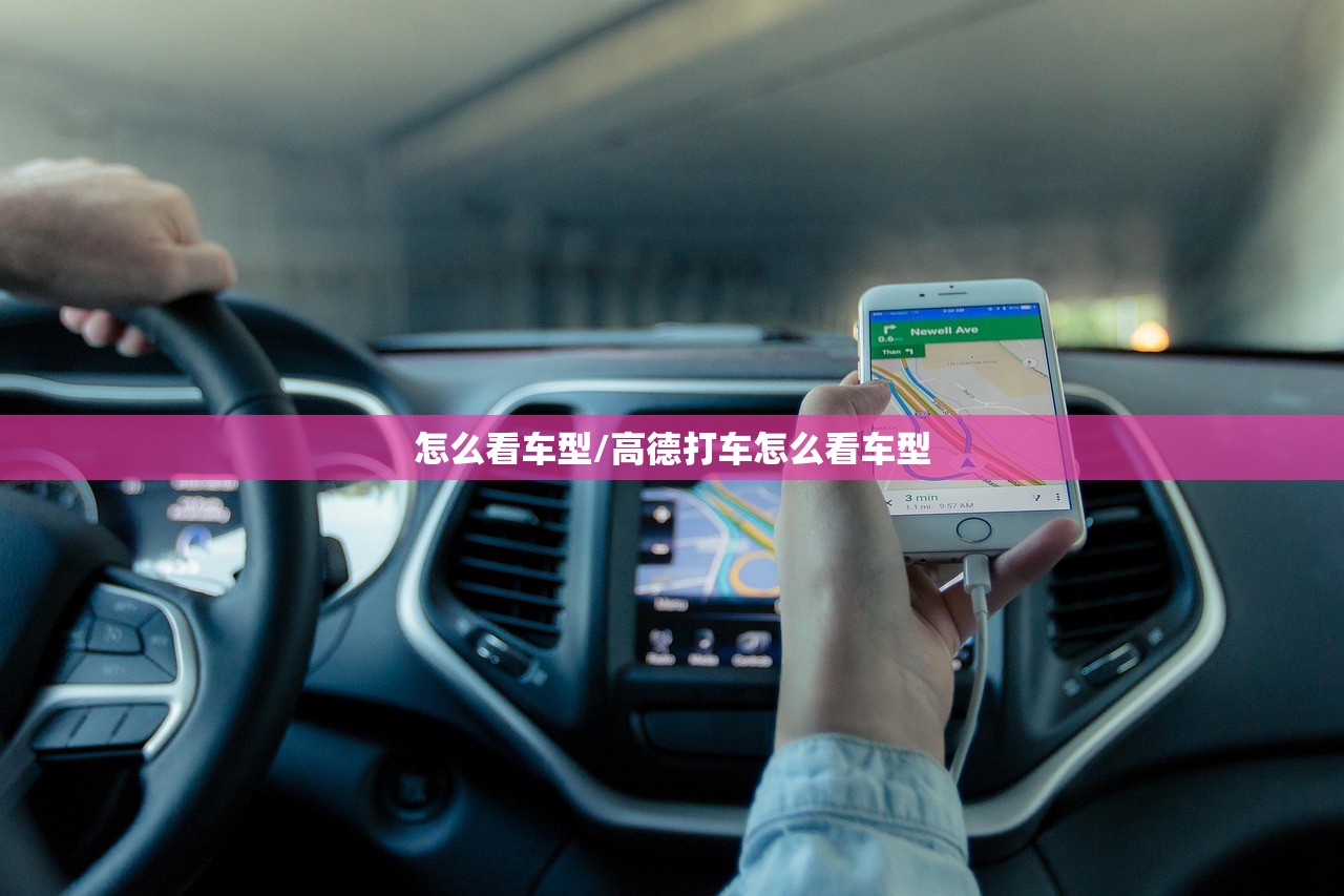 怎么看车型/高德打车怎么看车型