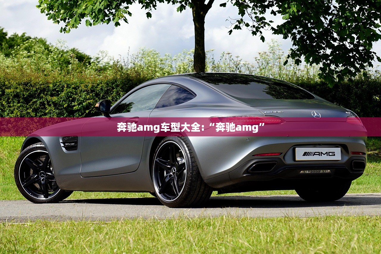 奔驰amg车型大全:“奔驰amg	”