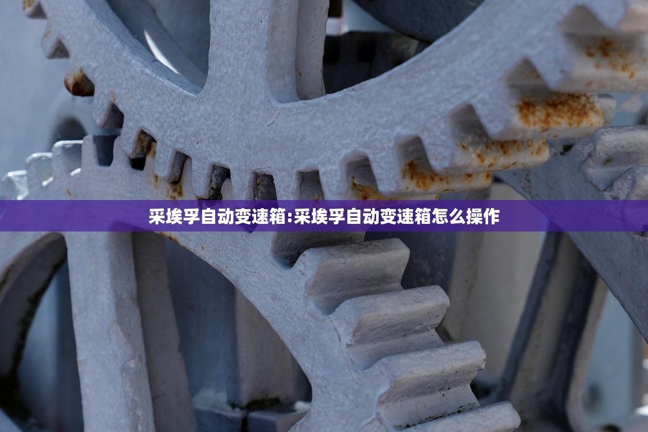 采埃孚自动变速箱:采埃孚自动变速箱怎么操作 采埃孚自动变速箱:采埃孚自动变速箱怎么操作