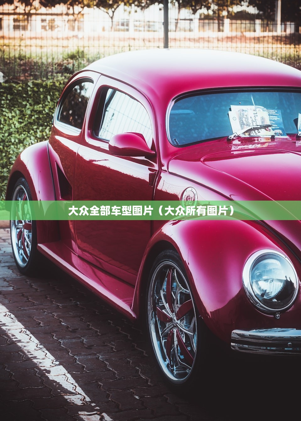 沈阳新增确诊者曾去内蒙古旅行（沈阳新增确诊病例的出行轨迹）