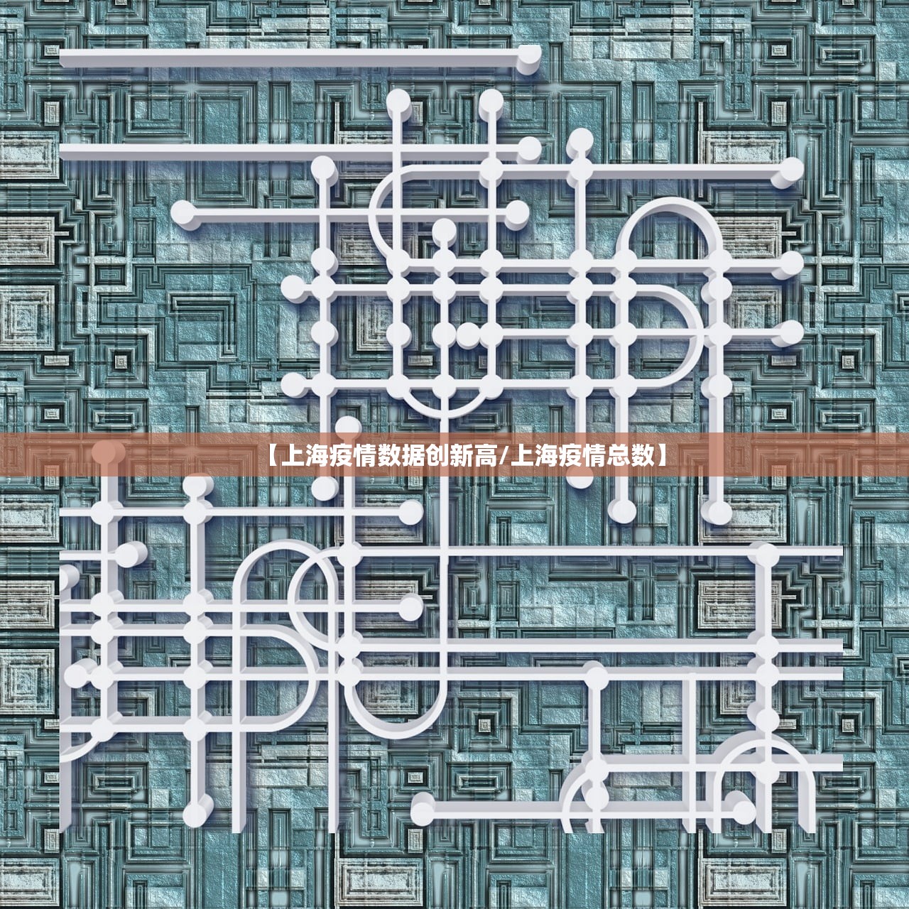 【上海疫情数据创新高/上海疫情总数】