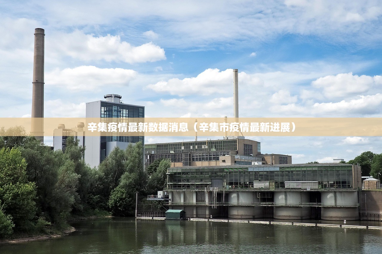 辛集疫情最新数据消息（辛集市疫情最新进展）