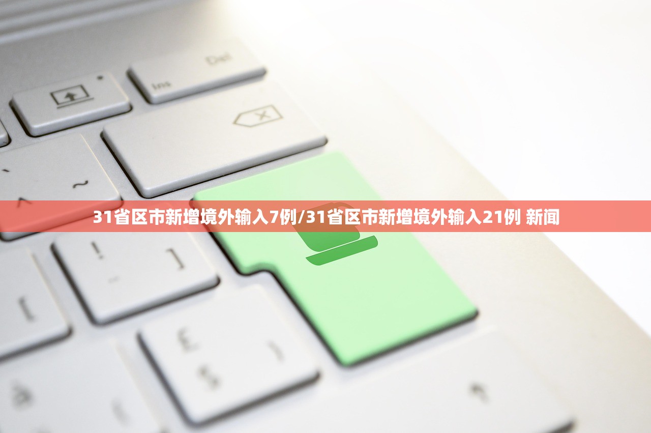 31省区市新增境外输入7例/31省区市新增境外输入21例 新闻
