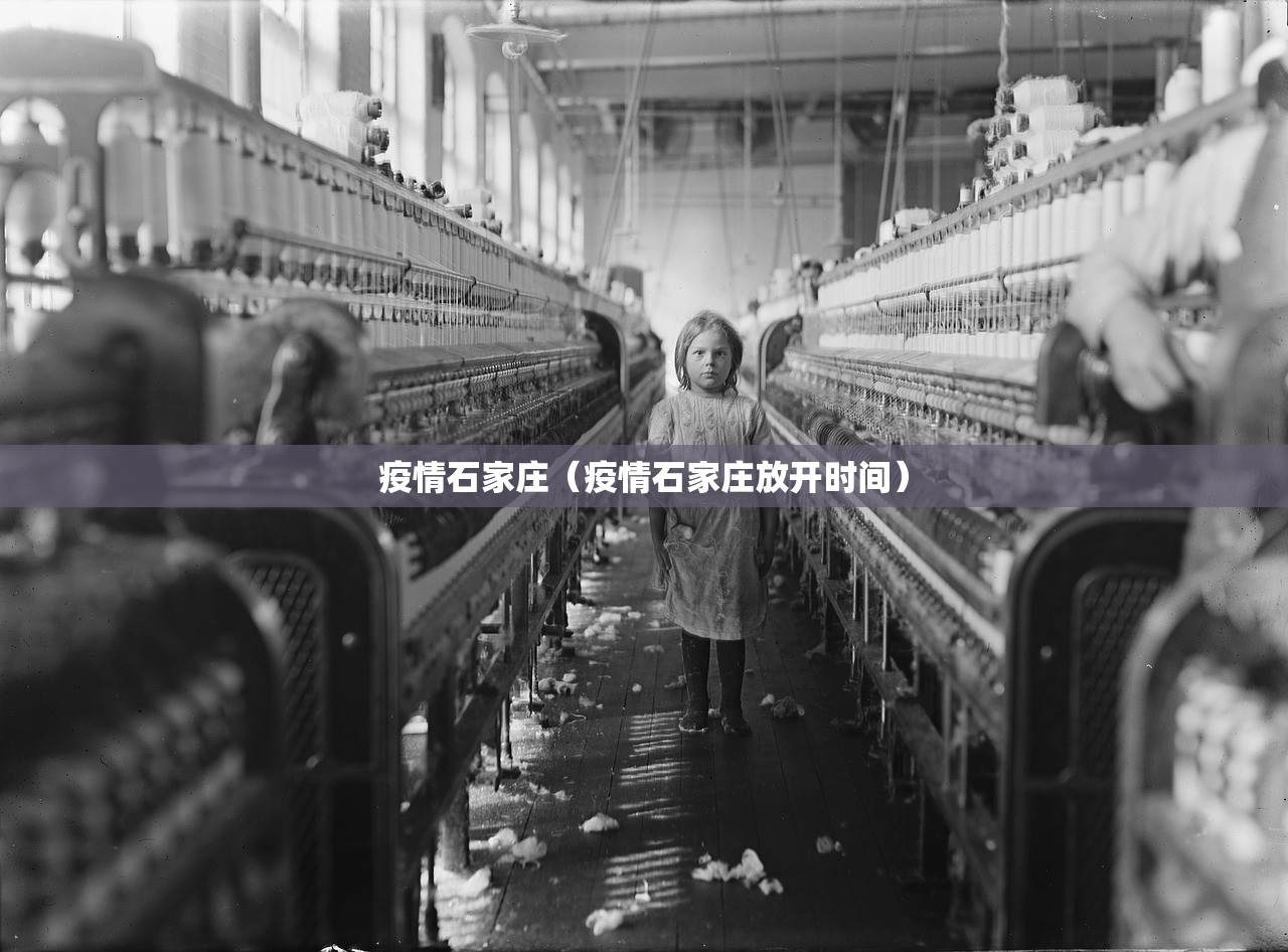 疫情石家庄（疫情石家庄放开时间）