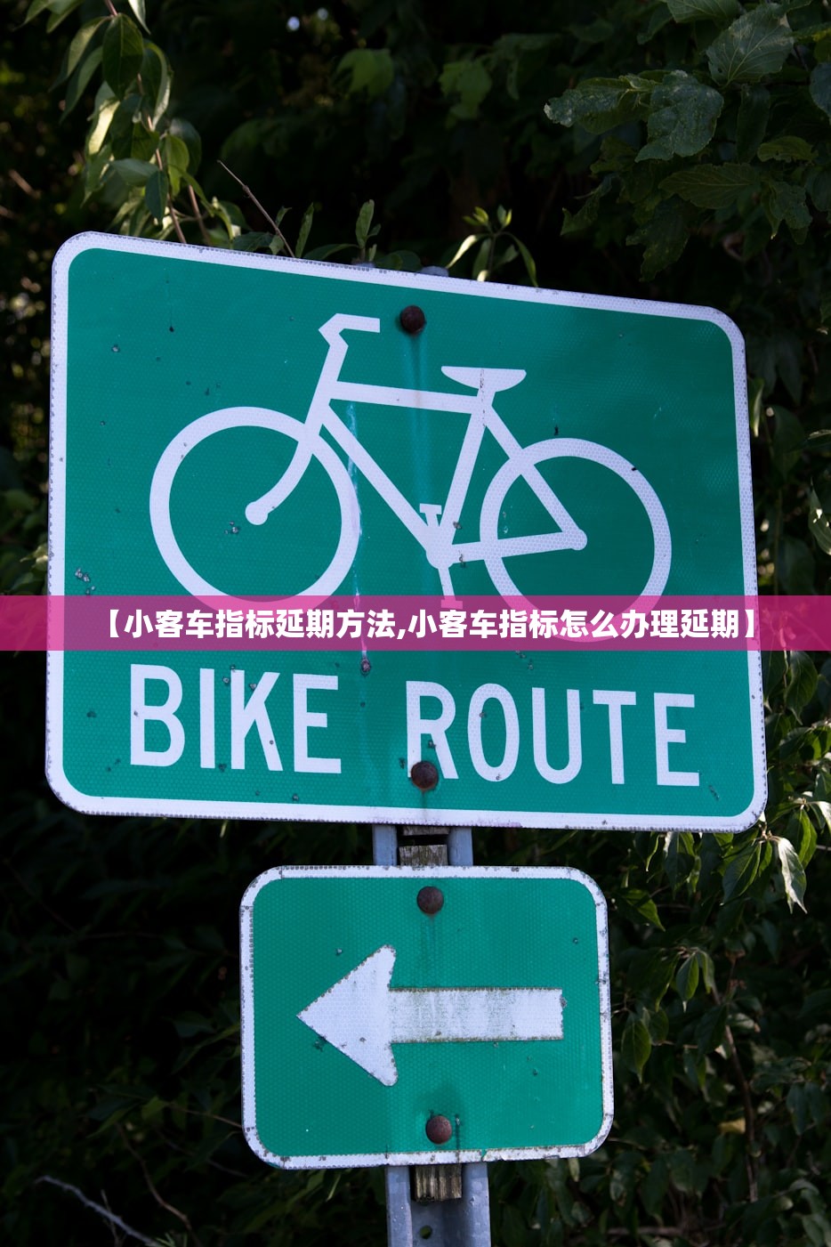【小客车指标延期方法,小客车指标怎么办理延期】