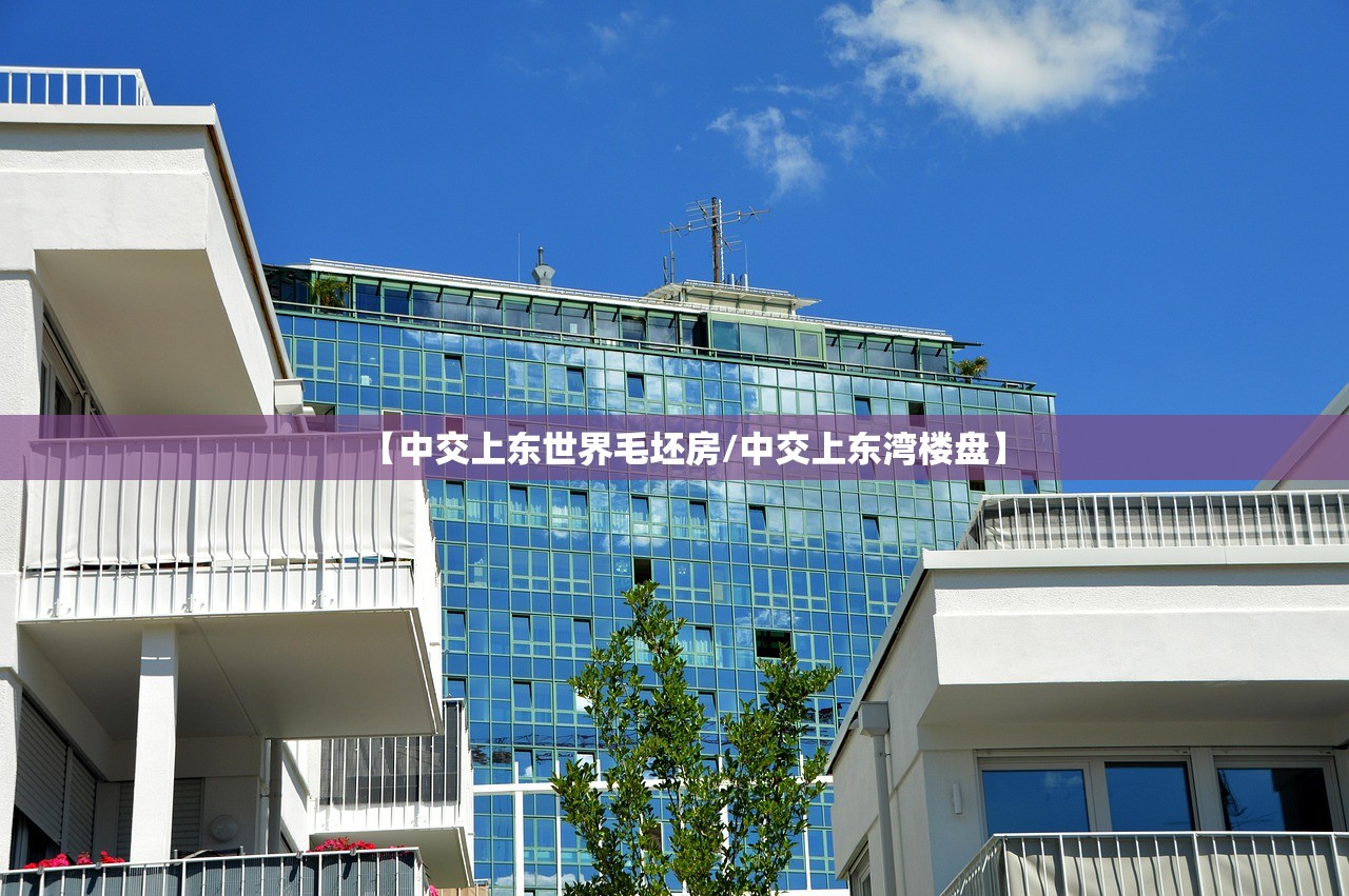 【中交上东世界毛坯房/中交上东湾楼盘】