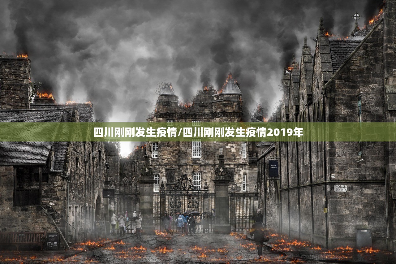 四川刚刚发生疫情/四川刚刚发生疫情2019年