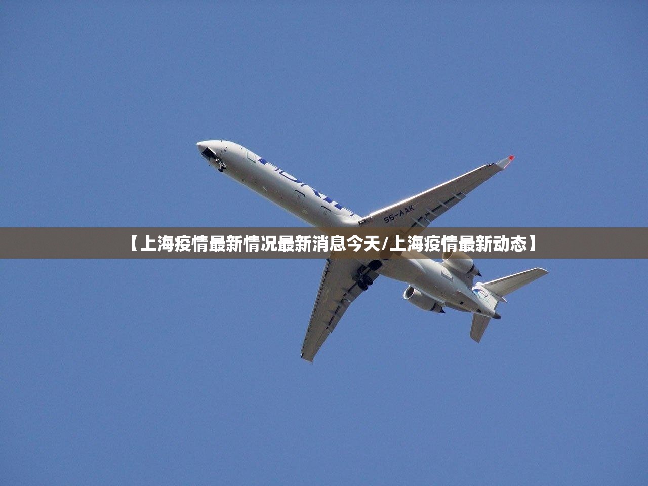 【上海疫情最新情况最新消息今天/上海疫情最新动态】