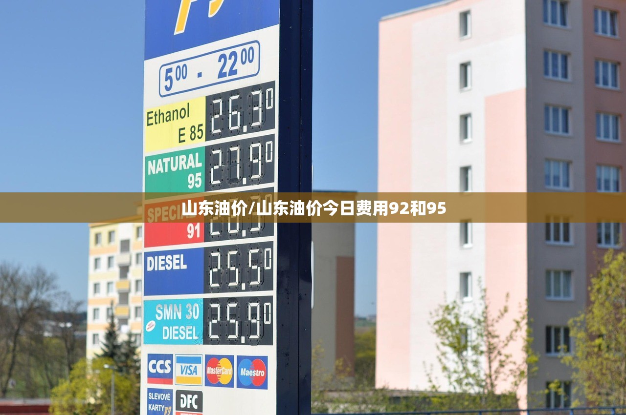 山东油价/山东油价今日费用92和95
