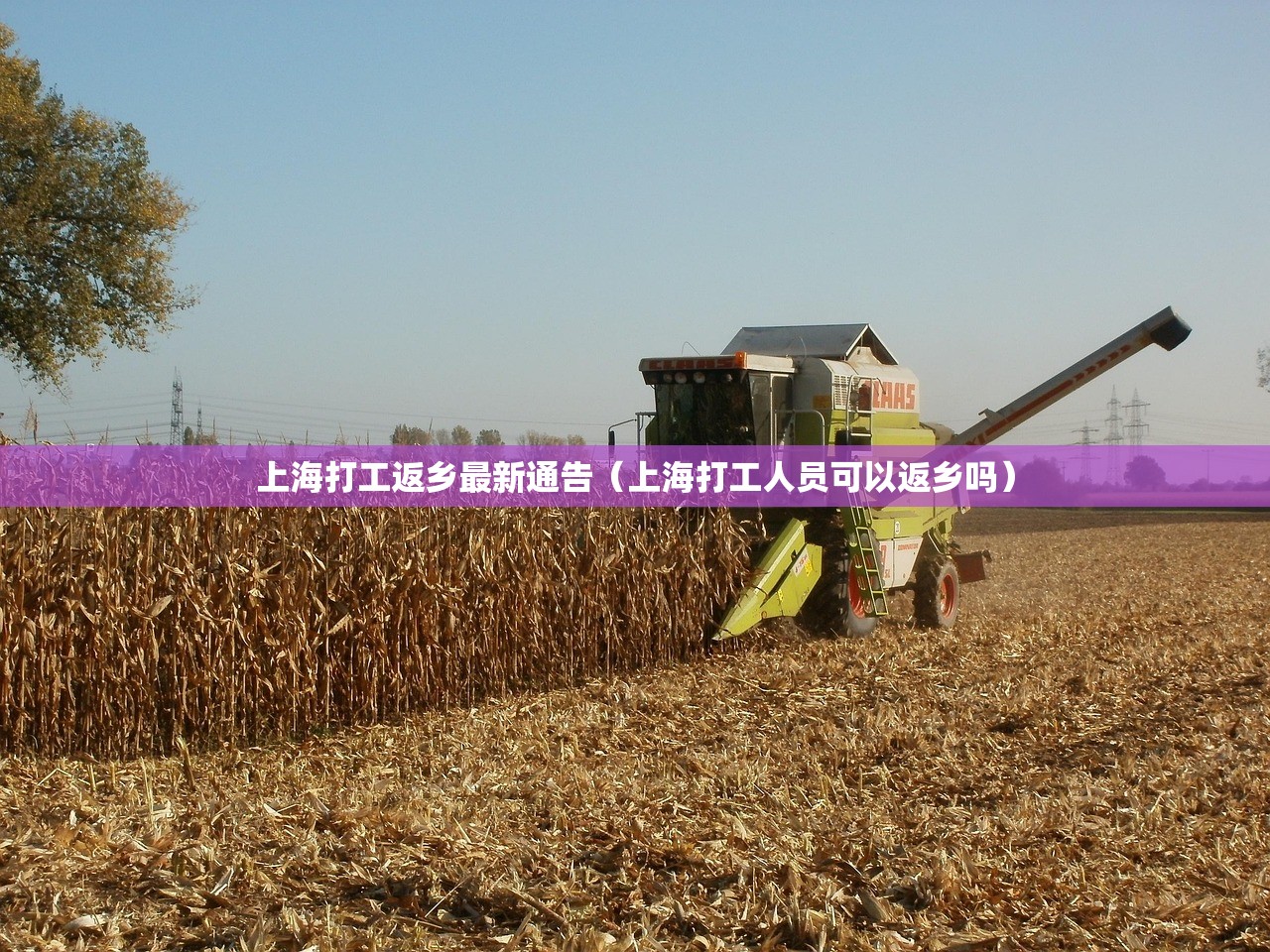上海打工返乡最新通告（上海打工人员可以返乡吗）