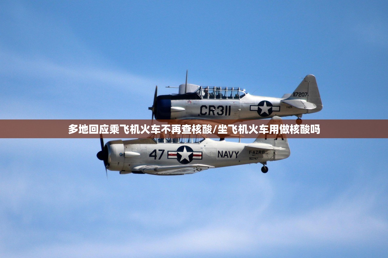 多地回应乘飞机火车不再查核酸/坐飞机火车用做核酸吗