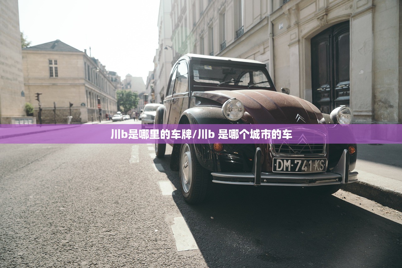 一键必胜“陕麻圈开挂神器”开挂(透视)辅助教程