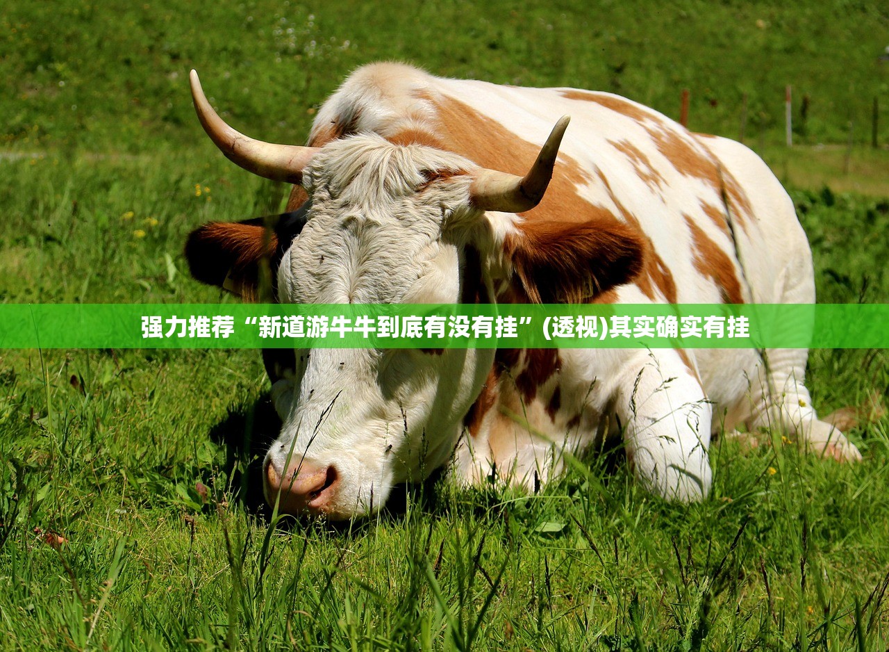 强力推荐“新道游牛牛到底有没有挂”(透视)其实确实有挂