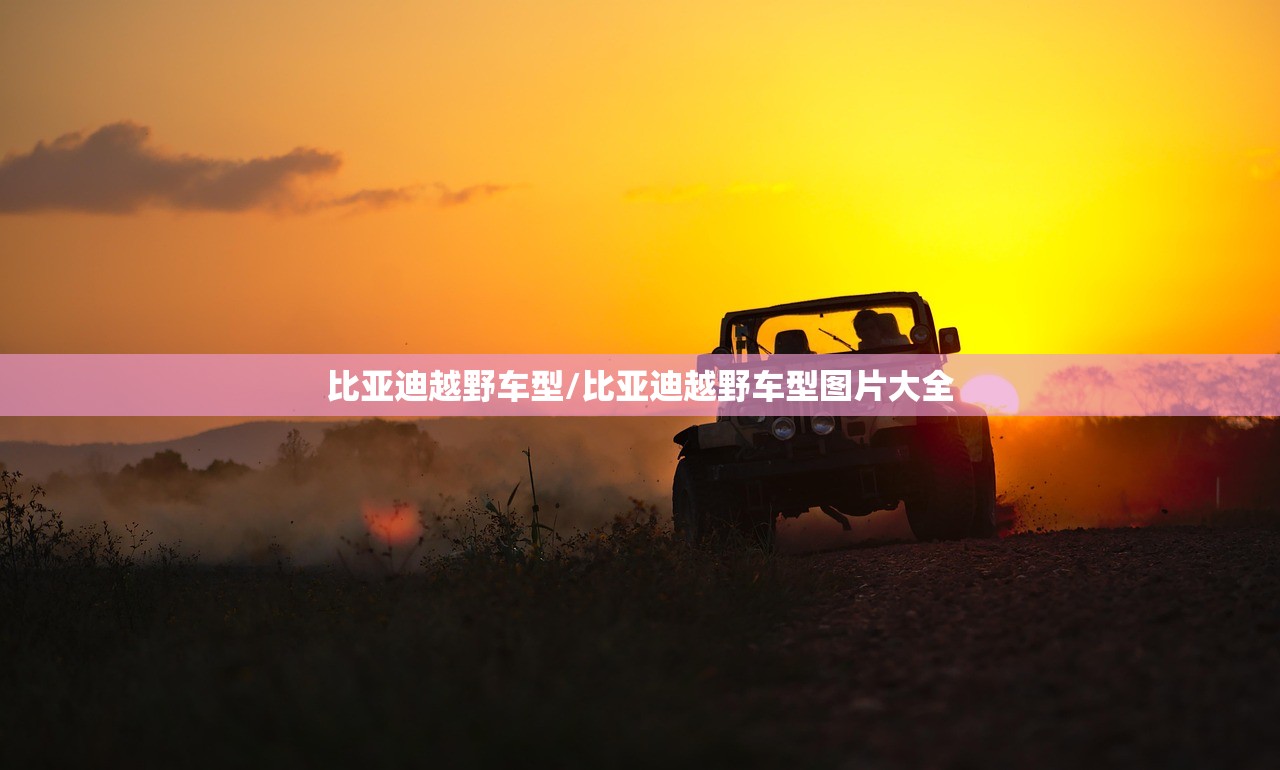 比亚迪越野车型/比亚迪越野车型图片大全