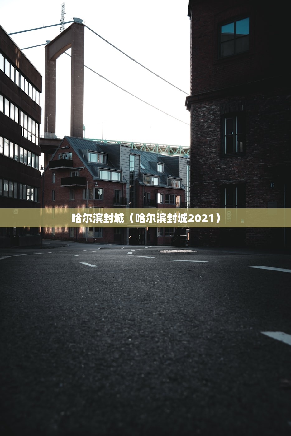 哈尔滨封城（哈尔滨封城2021）